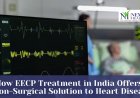 Combining Ayurveda and EECP: A Holistic Approach to Heart Health in India