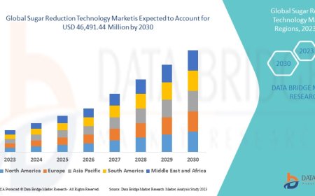 Sugar Reduction Technology Market Overview, Growth Analysis, Trends and Forecast By 2030