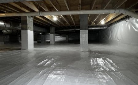 How to Restore Your Crawl Space with Trusted Local Experts