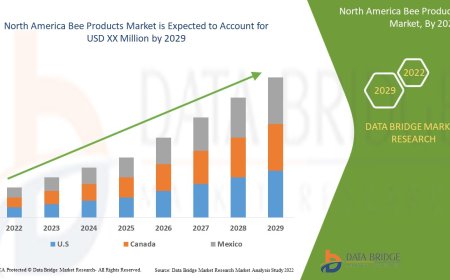 North America Bee Products Market Soars with Increased Focus on Natural Remedies