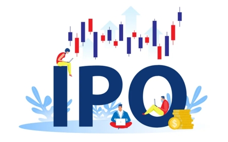 How to Check Your IPO Allotment Status: A Step-by-Step Guide for First-Time Investors