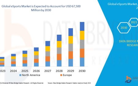 eSports Market: Insights, Key Players, and Growth Analysis 2024 –2031