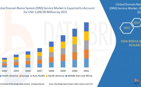 Domain Name System (DNS) Service Market: Insights, Key Players, and Growth Analysis 2024 –2031