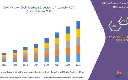Cotton Socks Market: Insights, Key Players, and Growth Analysis 2024 –2031