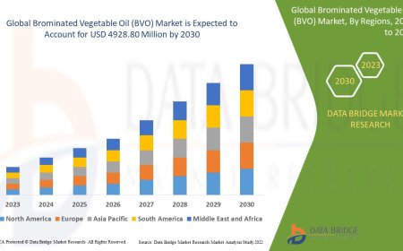 Brominated Vegetable Oil (BVO) Market: Insights, Key Players, and Growth Analysis 2024 –2031