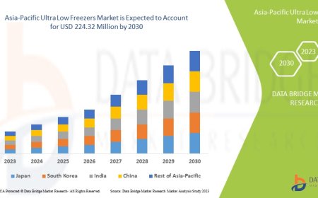 Asia-Pacific Ultra Low Freezers Market Set to Expand with Rising Demand in Biomedical Storage