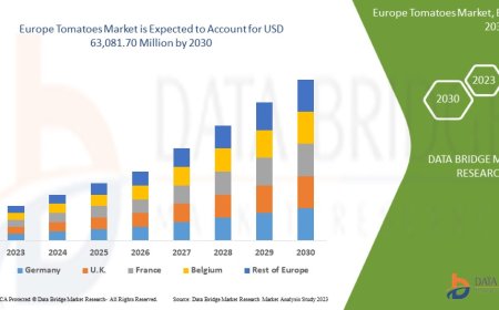Europe Tomatoes Market Sees Growth with Expanding Processed Foods and Export Opportunities