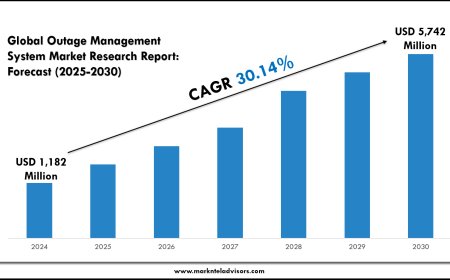 Strategic Outlook: Outage Management Systems Market