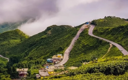 Darjeeling Tour Packages under 10000: Tea Garden Trails Begin