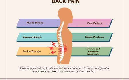 How to Relieve Muscle Pain in Your Back: A Comprehensive Guide