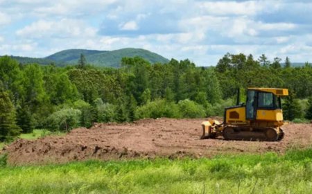 Professional Land Clearing Services | Reliable & Efficient
