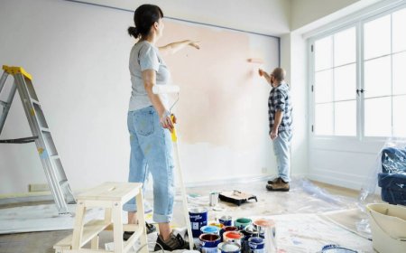 Professional House Painters | Interior & Exterior Experts