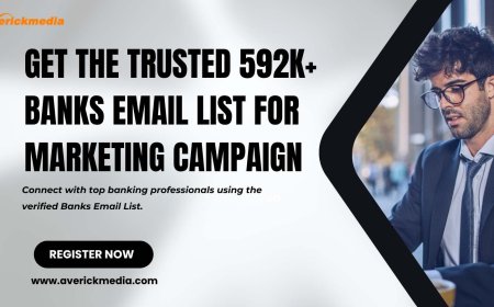 Turning Data into Deals: How a Bank Email List Powered Strategic B2B Campaigns