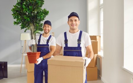 Movers and Packers in Dubai – Relocate with Confidence
