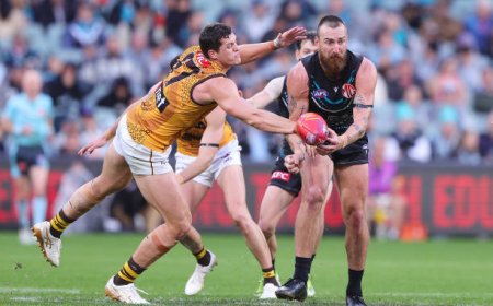 Exploring the Top Australian Betting Website Options for Smart Punters