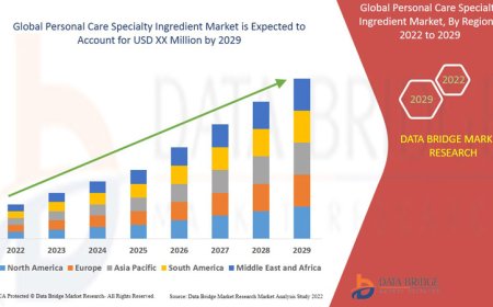 Personal Care Specialty Ingredient Market Size: Growth, Share, Value, Scope, and Insights