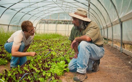 Benefits of Sustainable Aquaculture for Global Food Security