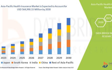 Asia-Pacific Health Insurance Industry: Developments and Growth by 2025 - 2032