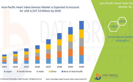 Asia-Pacific Heart Valve Devices Industry: Developments and Landscape by 2025 - 2032