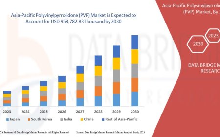 Asia-Pacific Polyvinylpyrrolidone (PVP) Industry: Dynamics and Analysis Period 2025 - 2032