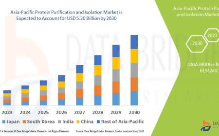 Asia-Pacific Protein Purification and Isolation Industry: Dynamics and Growth Period 2025 - 2032