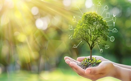 Definition of an Annuity: What You Need to Know