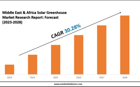 Middle East & Africa Solar Greenhouse Market Value & Industry Overview | Growth Outlook 2028