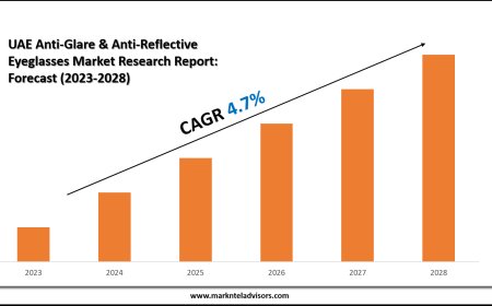UAE Anti-Glare & Anti-Reflective Eyeglasses Market Value & Industry Overview | Growth Outlook 2028