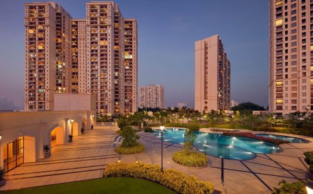 Top Reasons to Choose Hiranandani the Arena in Panvel