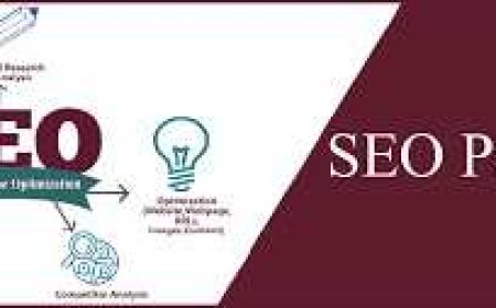 SEO Packages in Pakistan – Affordable & Effective SEO Agency Pakistan Services