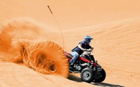 Book a Morning Desert Safari in Dubai