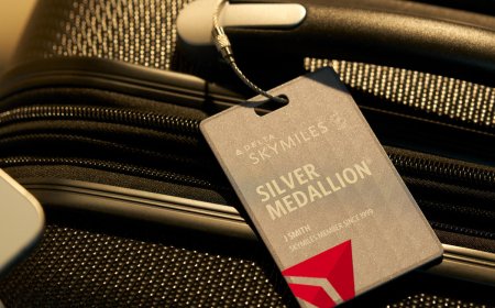 Turkish Airlines Check in