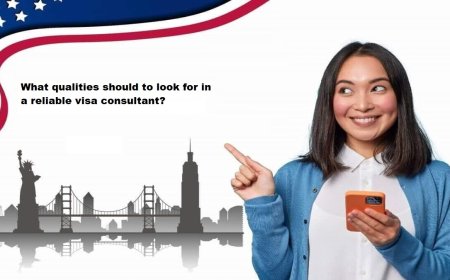 What qualities should to look for in a reliable visa consultant?
