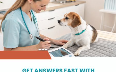 Looking for Vets Near Me? Discover a Holistic Approach with Bioresonance.vet