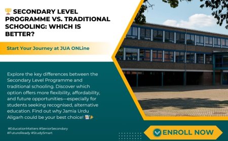 Secondary Level Programme vs. Traditional Schooling: Which Path Leads to Success?