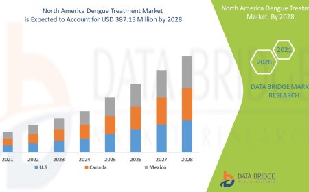 America Dengue Treatment Market Insights: Growth, Share, Value, Size, and Analysis