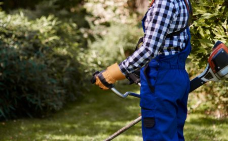 Craftsman M220 Lawn Mower: Frequently Asked Questions and In-Depth Review