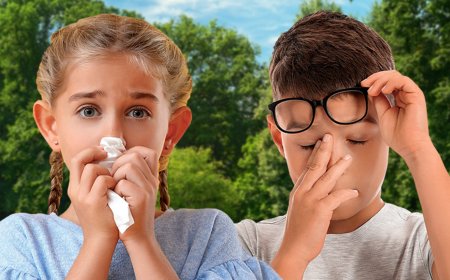 From Dust to Pollen: What an Environmental Allergy Test Can Reveal