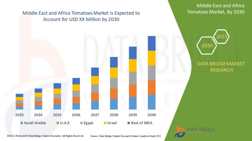Middle East and Africa Tomatoes Market Grows with Rising Food Processing and Export Trends
