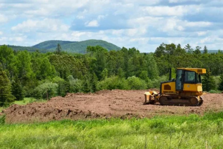 Professional Land Clearing Services | Reliable & Efficient