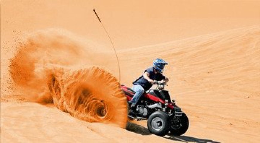 Book a Morning Desert Safari in Dubai