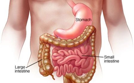 Liquid IV for Stomach Bug: A Powerful Solution for Fast Rehydration and Recovery