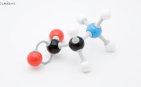 Glycine Market Size, Trends & Forecast & Growth Insights 2025 to 2034