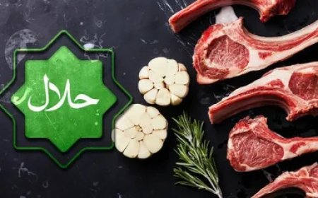 Halal Meat in Japan: A Practical Guide for Expats & Tourists
