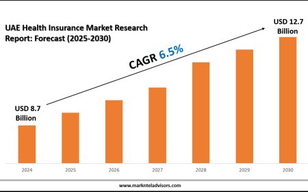 What’s Driving the Demand in the UAE Health Insurance Market?