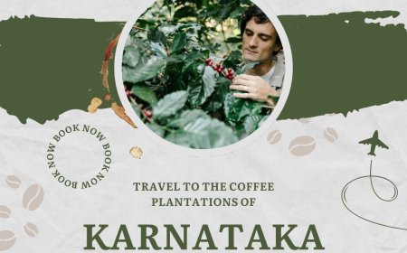 Explore the Best Karnataka Tour Packages for Every Traveler