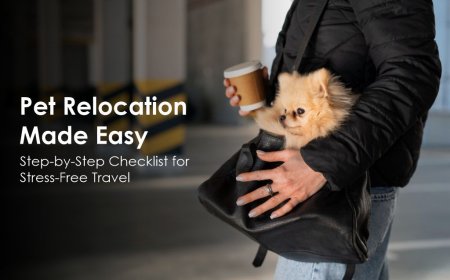 Pet Relocation Made Easy: Step-by-Step Checklist for Stress-Free Travel