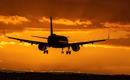 turkish airlines new york office