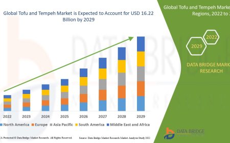 Tofu and Tempeh Sector: Trends and Growth by 2025 - 2032