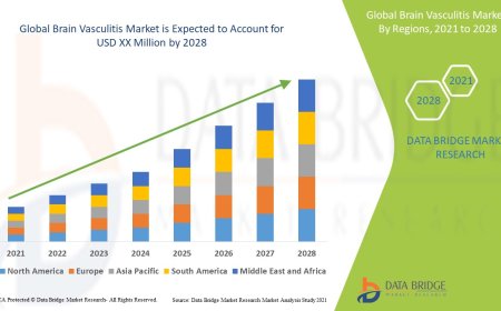 Brain Vasculitis Business Outlook: Analysis and Opportunities by 2025 - 2032